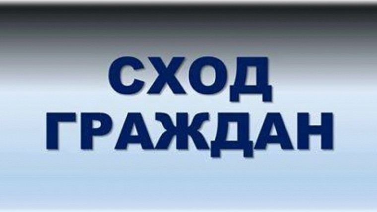 Сход граждан. Сход граждан.